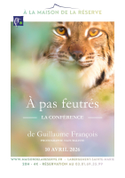 Conférence immersive - A pas feutrés