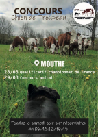 Concours de Chien de Troupeau