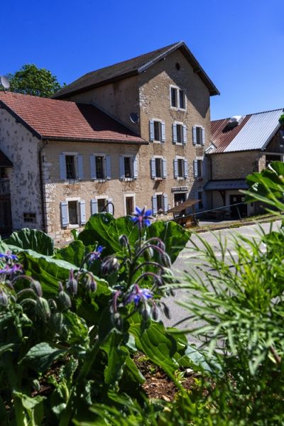 Visite du Musée de la Meunerie de Métabief